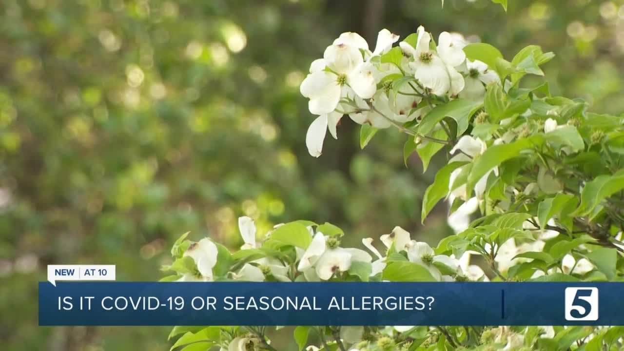 Doctors explain the differences in allergies and COVID symptoms