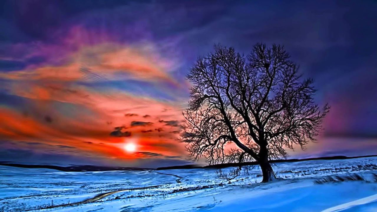 🏔️ 'Winter Light' 🏔️ Chillstep Mix ○ Melodic Dubstep ☀️ 528 hz