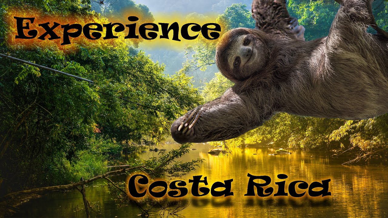 Car Camping in Tortuguero (and why you should visit this national park)