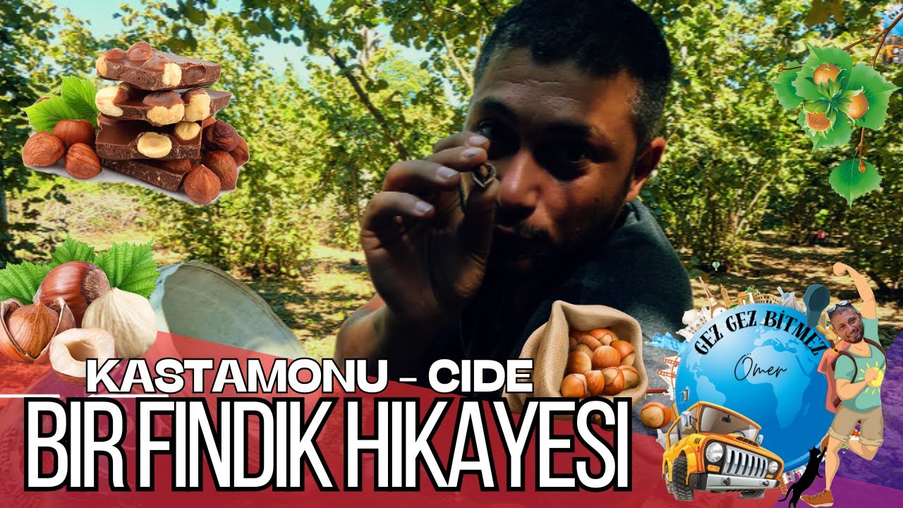 Bir #fındık  Hikayesi - #kastamonucide  CİDE GEZİLECEK YERLER - #patoz  FINDIK MAKİNASI #djımini4pro