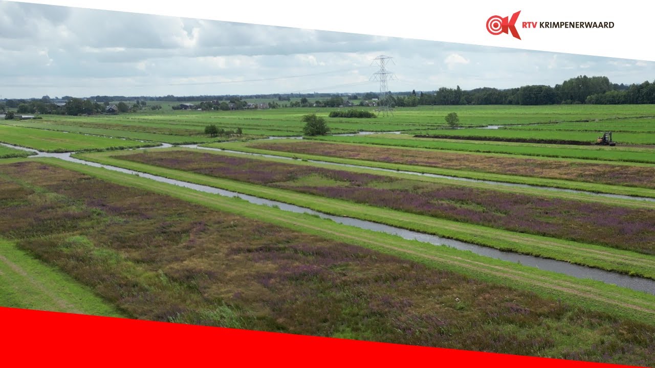 ZuidHollands Landschap - Natuurbeheer Krimpenerwaard