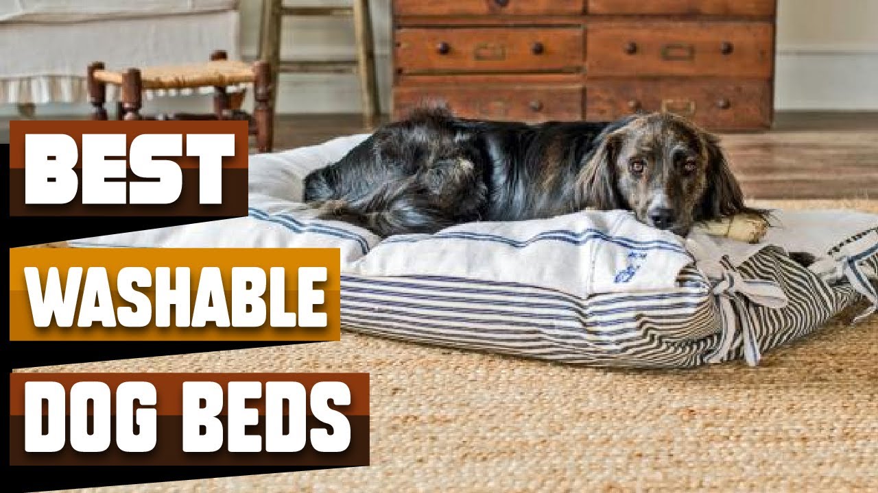 Best Washable Dog Bed In 2026 - Top 10 Washable Dog Beds Review