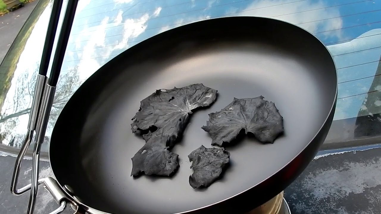 Salt from a plant