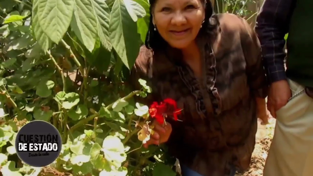 REPORTAJE BIOHUERTO DE VILLA EL SALVADOR