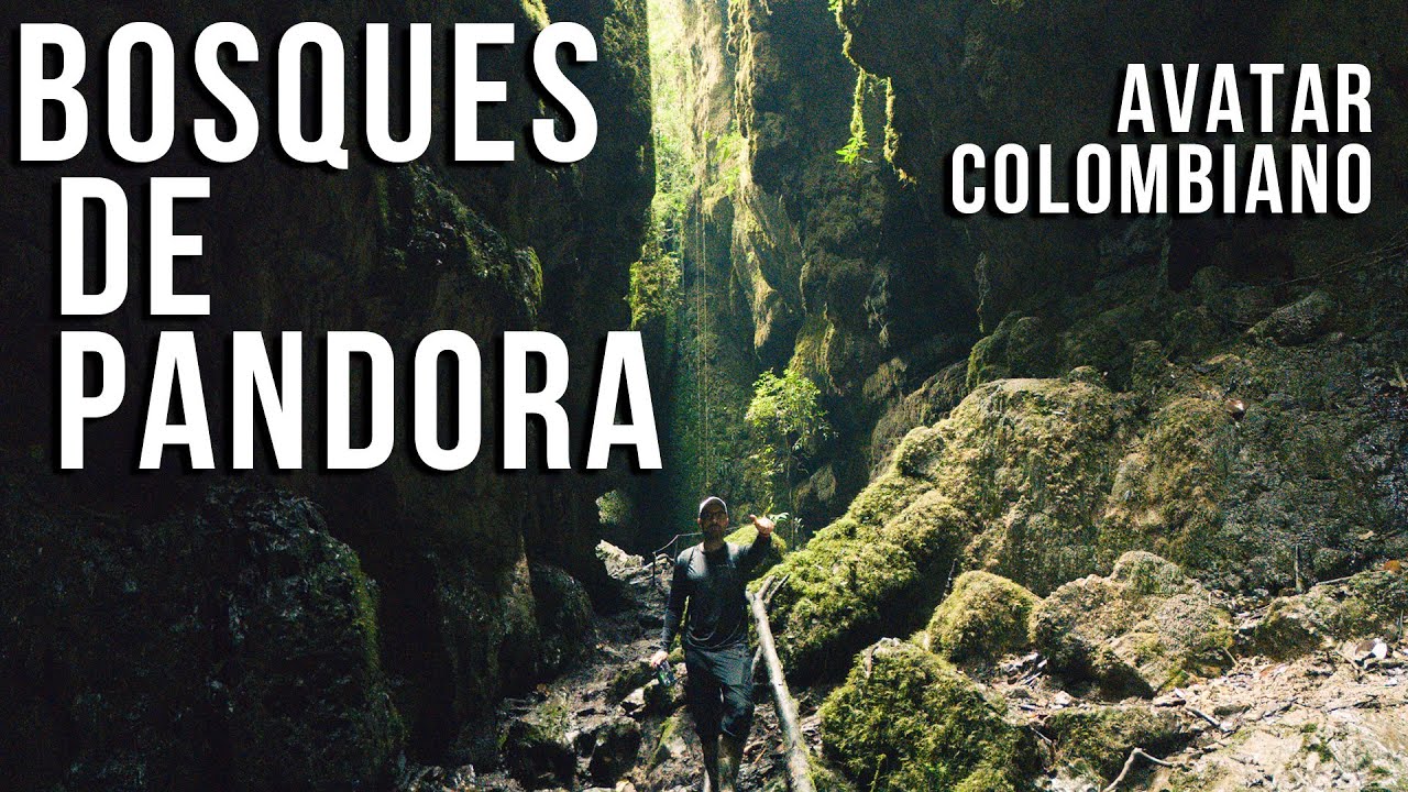 BOSQUES DE PANDORA // No sabía que existía el Avatar Colombiano!!!