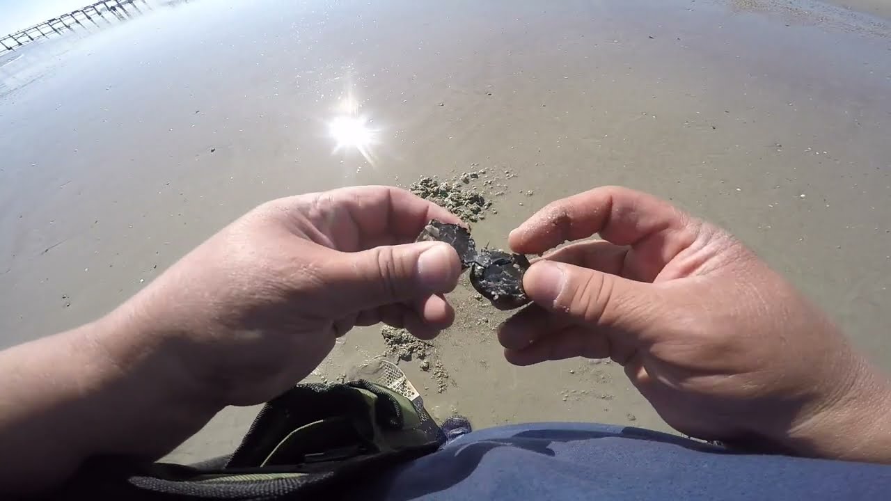 Metal Detecting the Atlantic Coast! Cocoa Beach it is! Lots of stuff found!