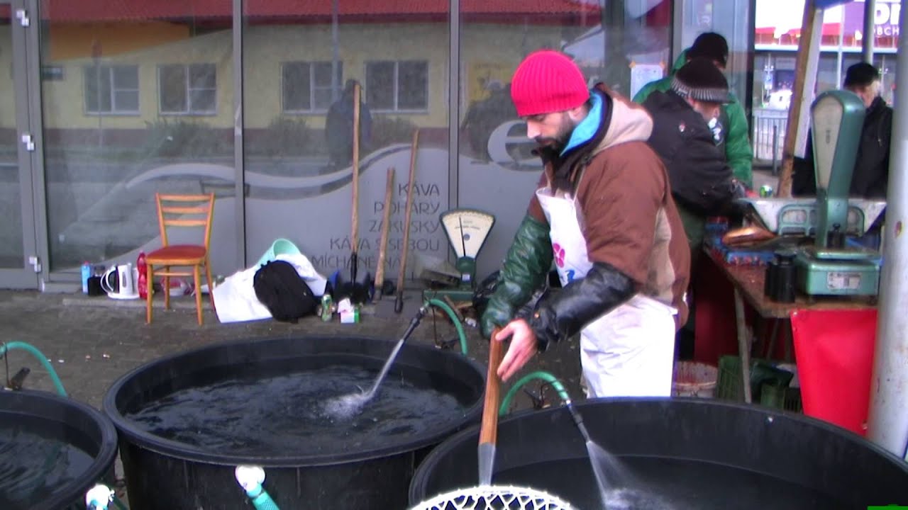 Vánoční kapři a nákupy v Chebu 23.12.2014