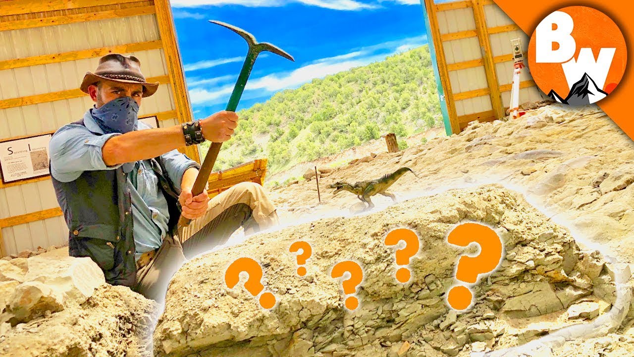 Digging Up Jurassic Treasure!