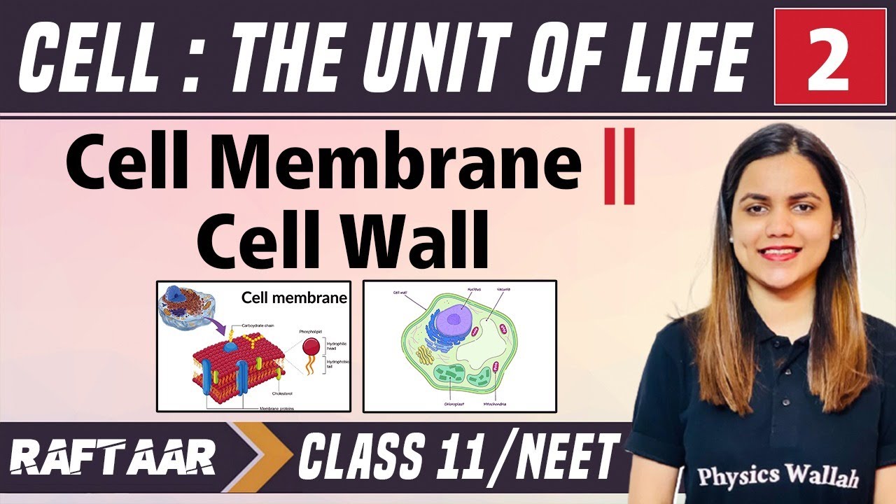 Cell : The Unit of Life 02 || Cell Membrane || Cell Wall || Class 11/NEET || RAFTAAR