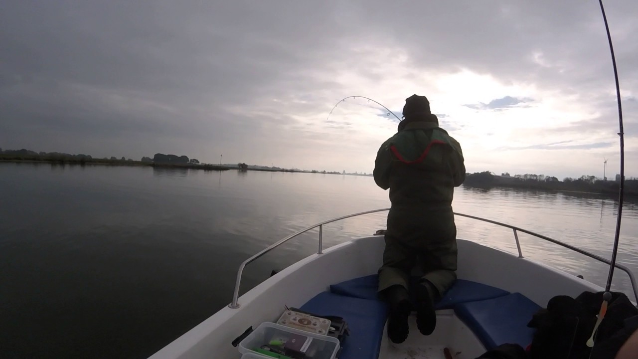 Monster snoek uit de IJssel. Monster pike from the Dutch IJssel