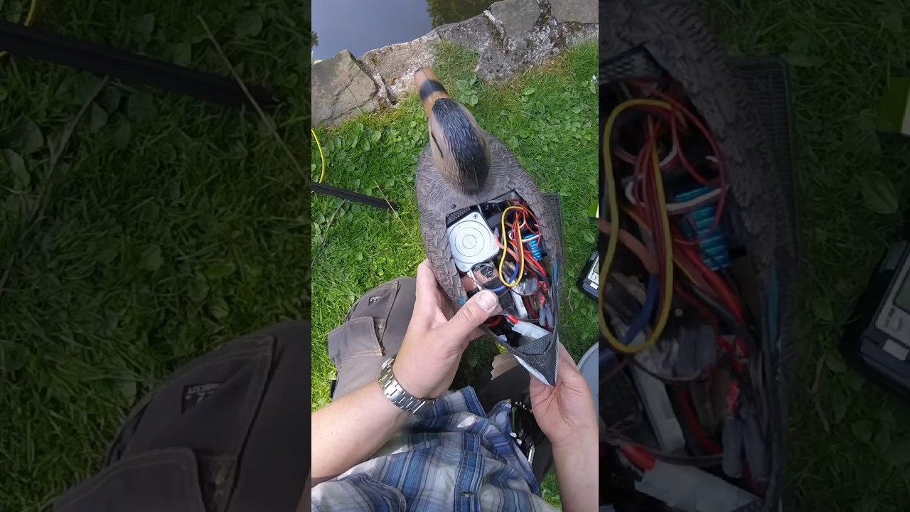 Elektro-Ente rettet mutterlose K&uuml;ken #rc #r-ente #rc-duck #animalrescue #tierrettung