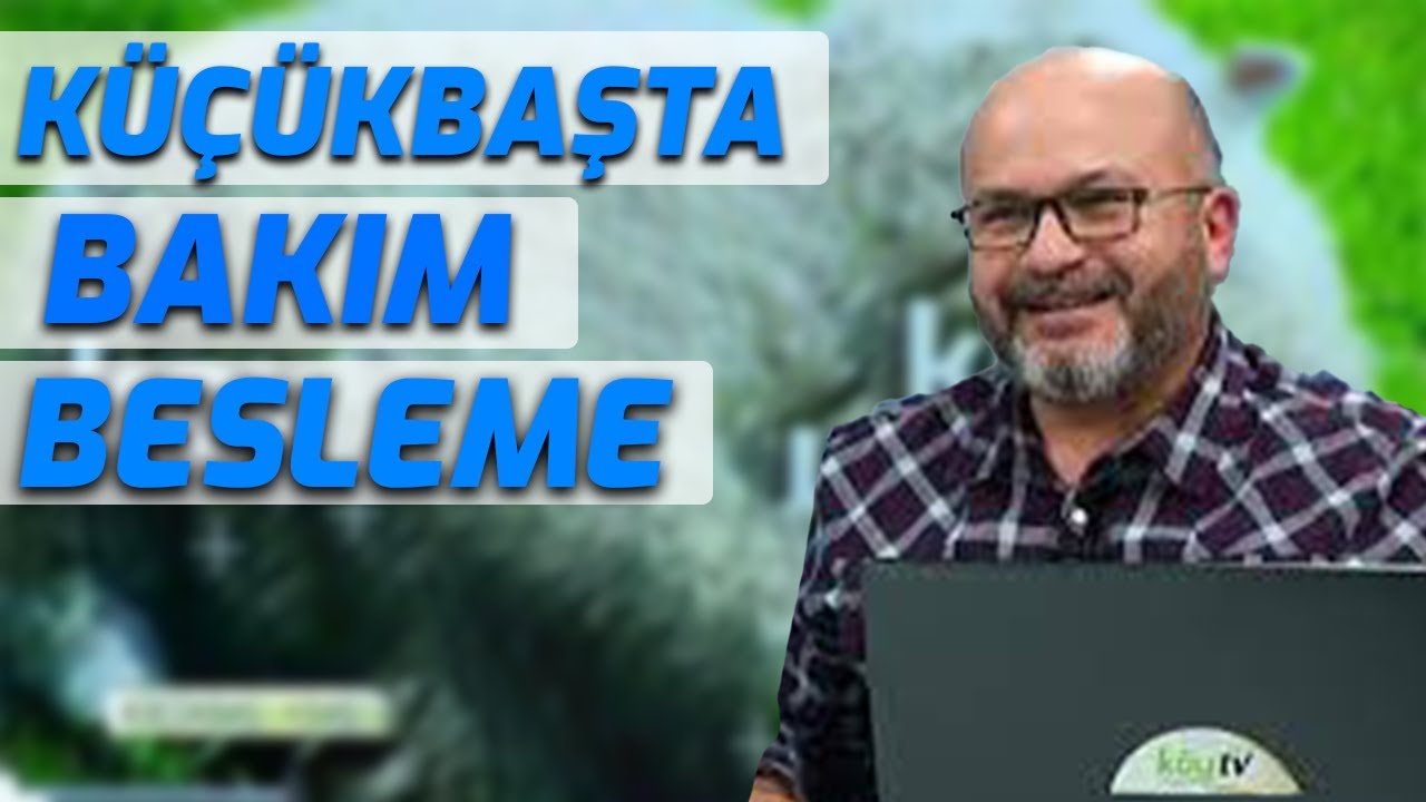 KÜÇÜKBAŞTA BAKIM VE BESLEME | KÜÇÜKBAŞ SAATİ