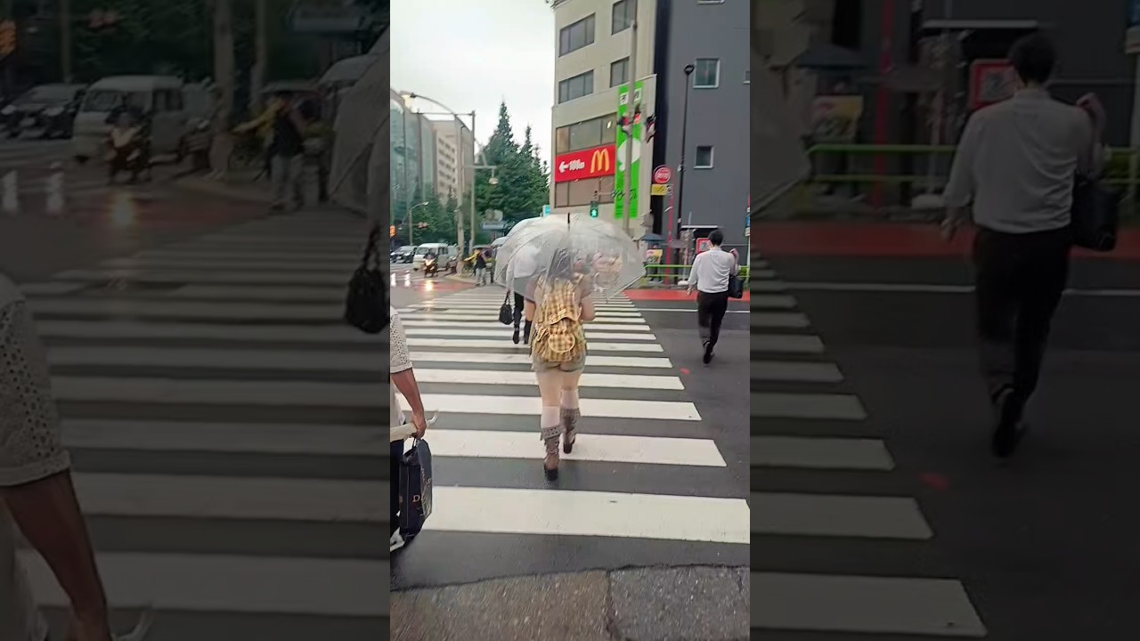 Japan | Japan Travel | japan view |#shortvideo #japantour #insidejapan #japantrip #japan #ilovejapan