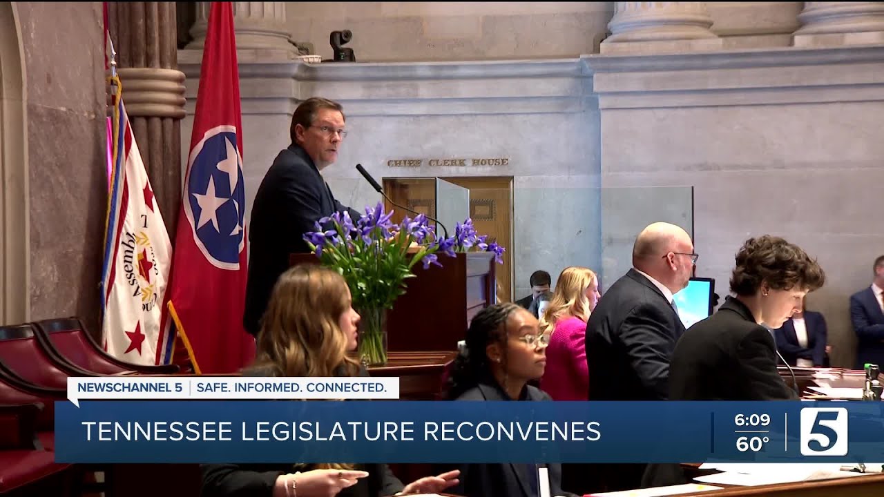 Tennessee House passes controversial adult establishment bill