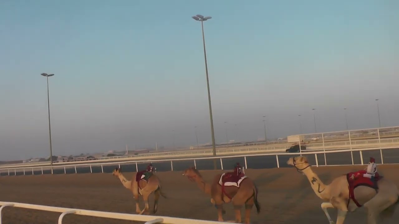 ش2/ حقايق / قعدان /مياس / عبد الباقي عفويه /04:46:33