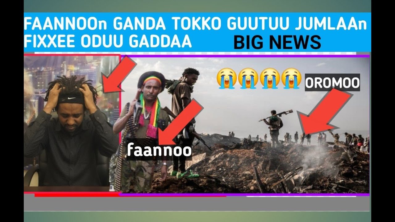 ODUU AMMEE HALEELLAA JUMLAA  faannoon raawwatee  fi WB0n birmannaa godhee , daandiin jibuti fi ethi