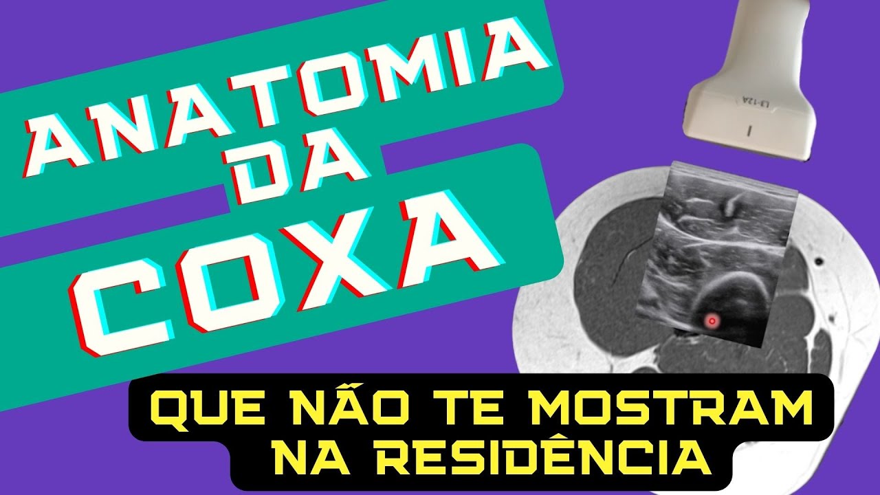 ANATOMIA COMPLETA DA COXA - A BASE DO ULTRASSOM E RESSONÂNCIA QUE NÃO TE MOSTRARAM