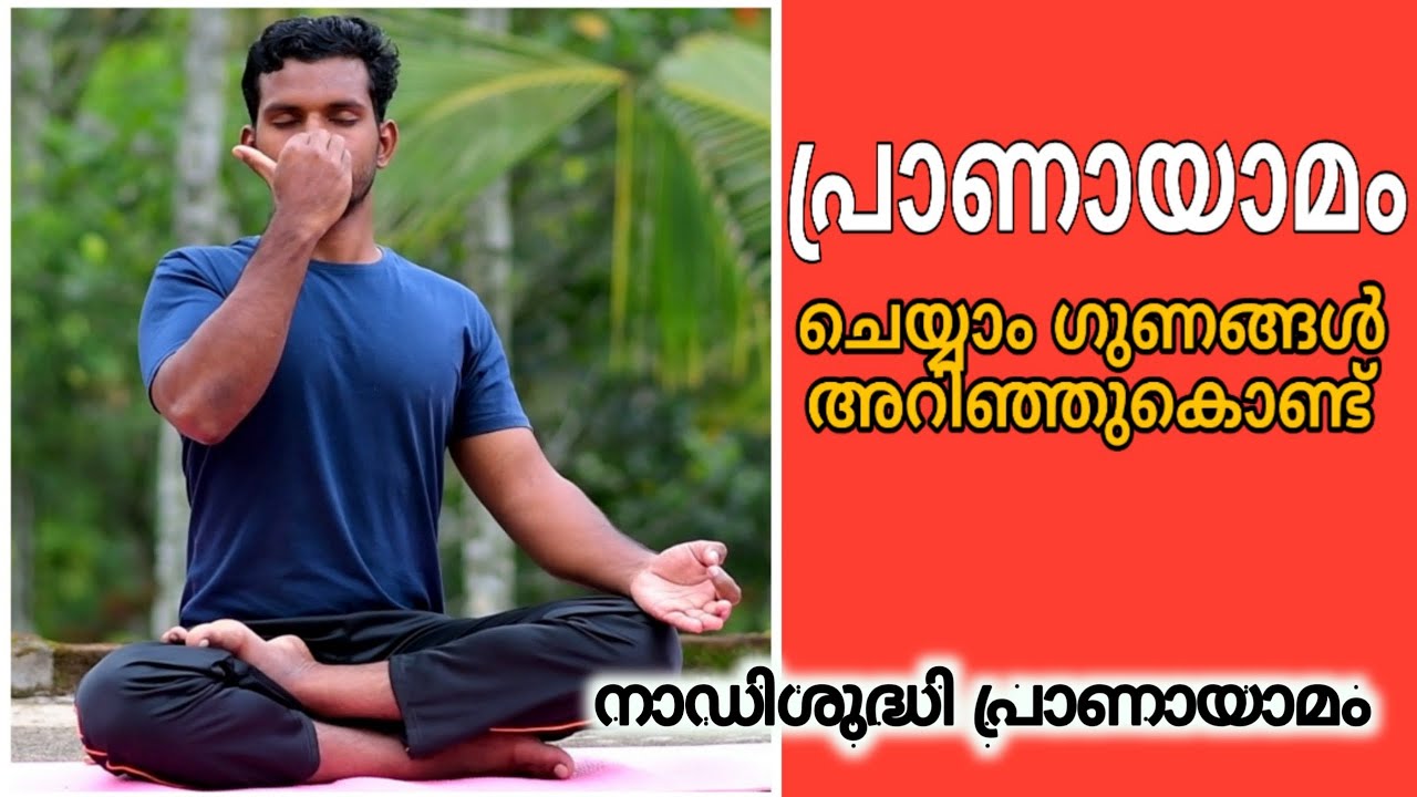 നാഡിശുദ്ധി പ്രാണായാമം പഠിക്കാം /Nadi shuddhi pranayama/Benefit of pranayama