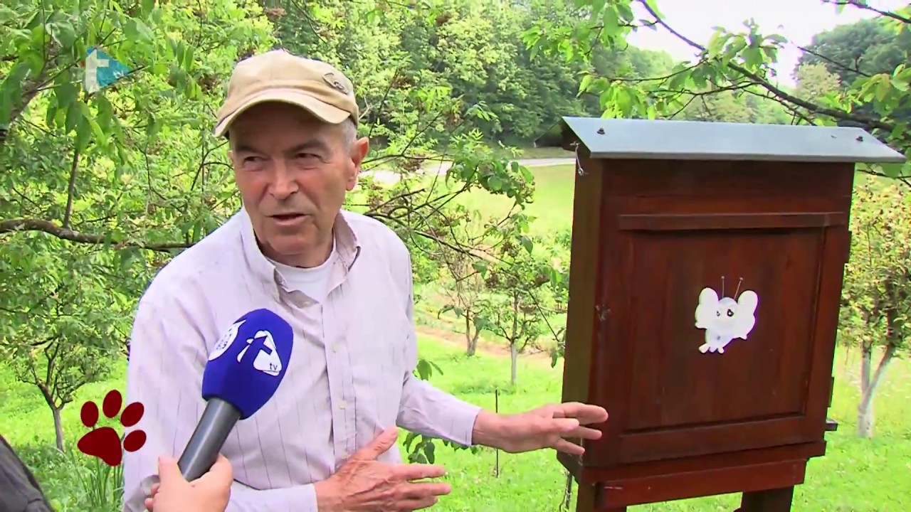 Životinjska farma 54 20052017 OPG pčelarstvo Krnić