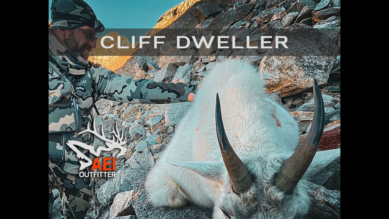 Cliff Dweller - An Epic Colorado Mountain Goat Hunt