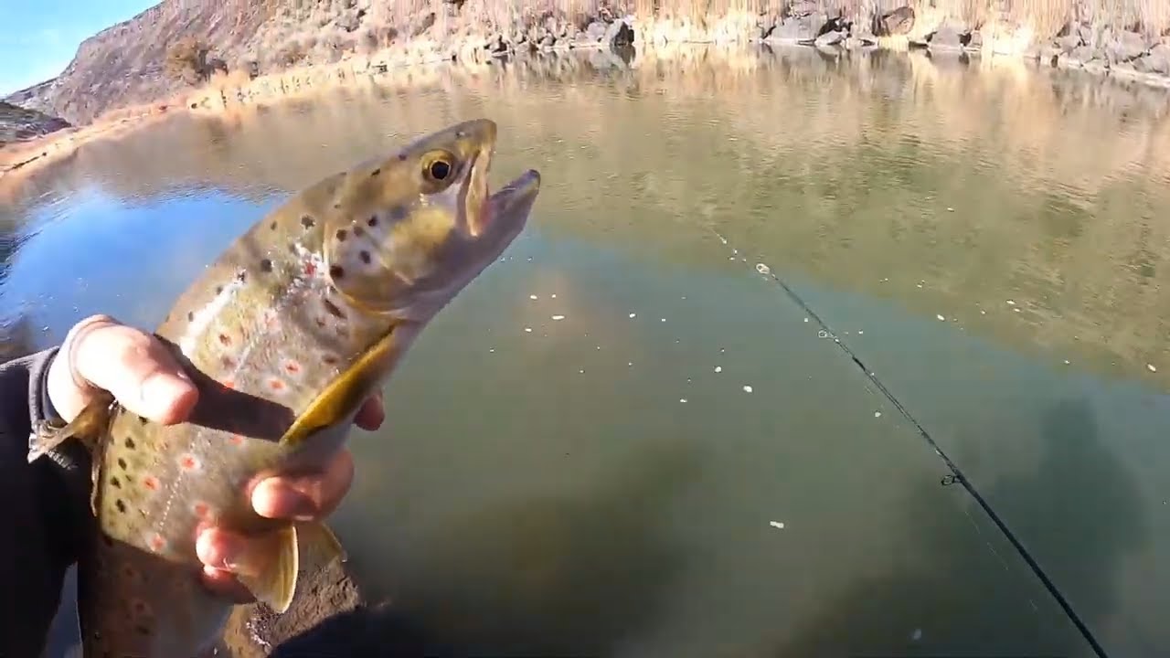 FISHING the RIO GRANDE GORGE for TROUT
