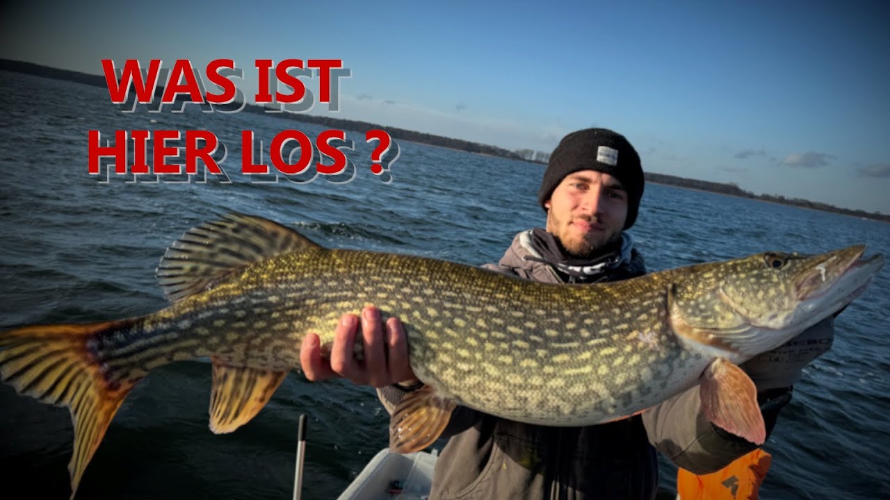 Hechtangeln unter Druck: Die besten Tricks f&uuml;rs Schleppen in Rekordzeit!?