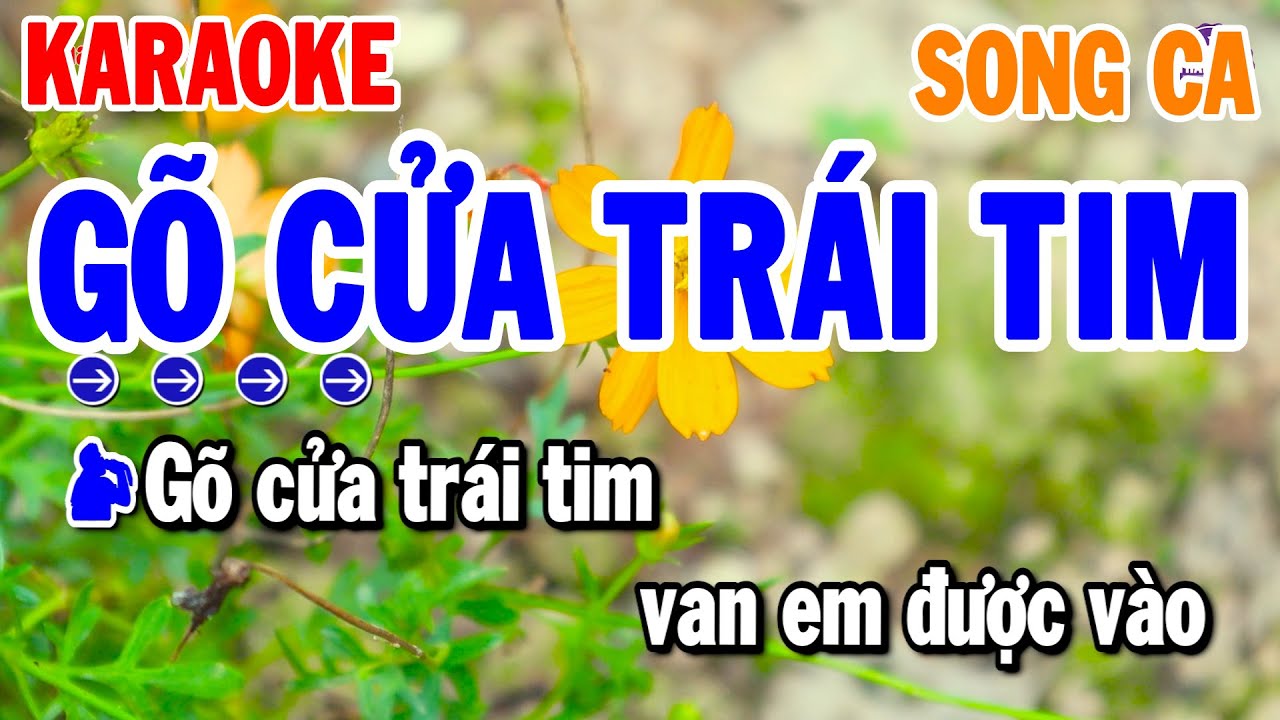 Gõ Cửa Trái Tim Karaoke Nhạc Sống Song Ca ( Bm ) Rumba Mới | Thanh Hải Organ