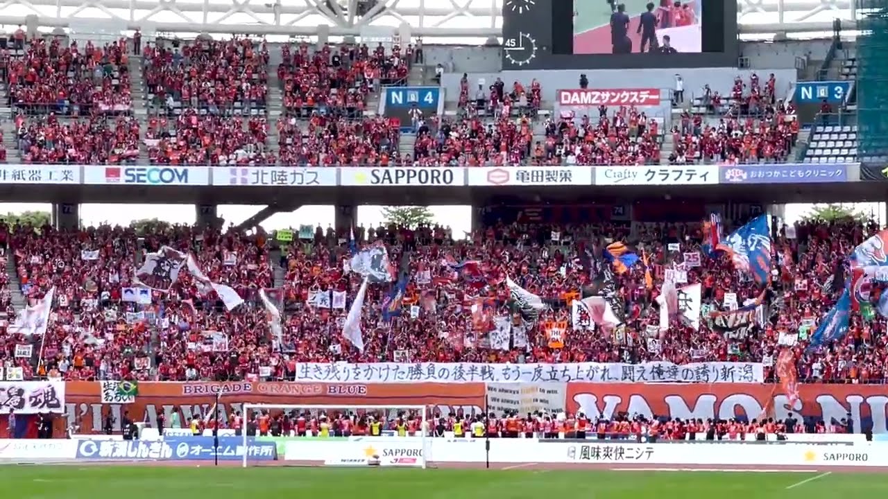 ハルヲスイング／S側から見たNの光景【アルビレックス新潟】横浜F・マリノス戦／2025 明治安田J1リーグ 第20節 #albirex #アルビレックス新潟