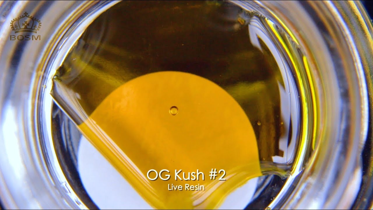 GLOBS of OG Kush #2 Live Resin!! | Meltshot Monday