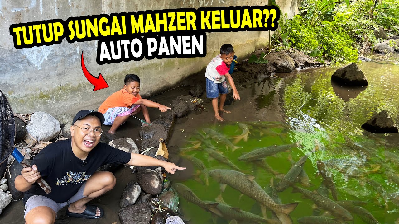 PANEN IKAN? JEBAKAN BATU IKAN MAHSEER SEHARGA MOTOR..!!