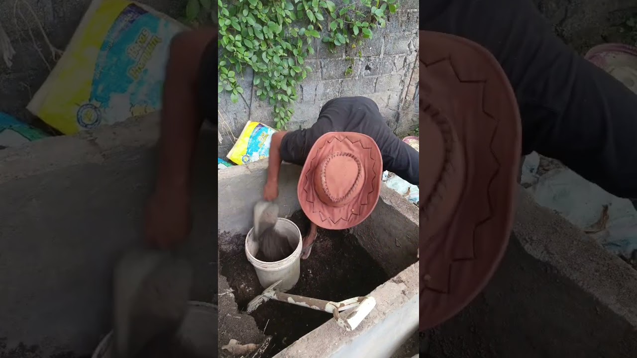 cara membuat kompos di dalam bak penyimpanan#shorst #gardening #caramerawattanaman #fypyoutube