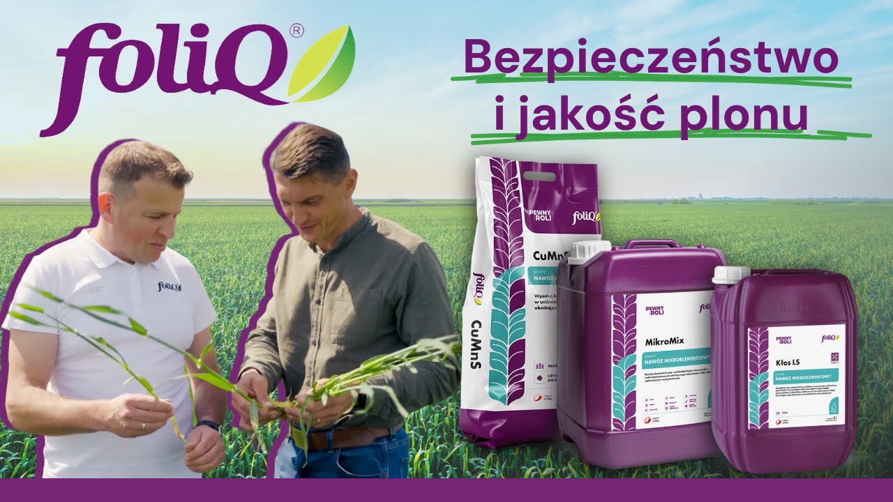 foliQ w praktyce | Chojnów