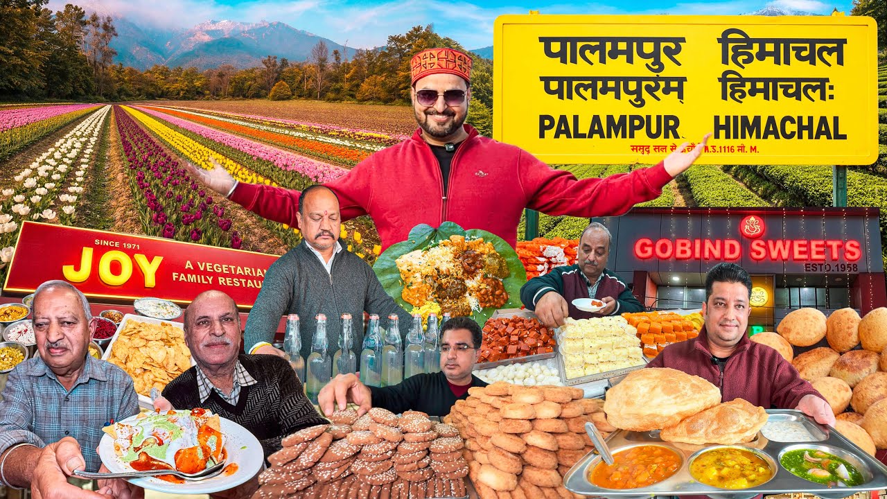 Palampur Street Food | Palampur Best Breakfast | Palampur Tourist Places Tour | Palampur