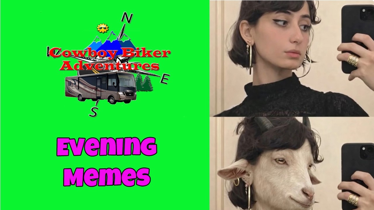 When You Love Goats! | Todays MEMES | YouTube Hates