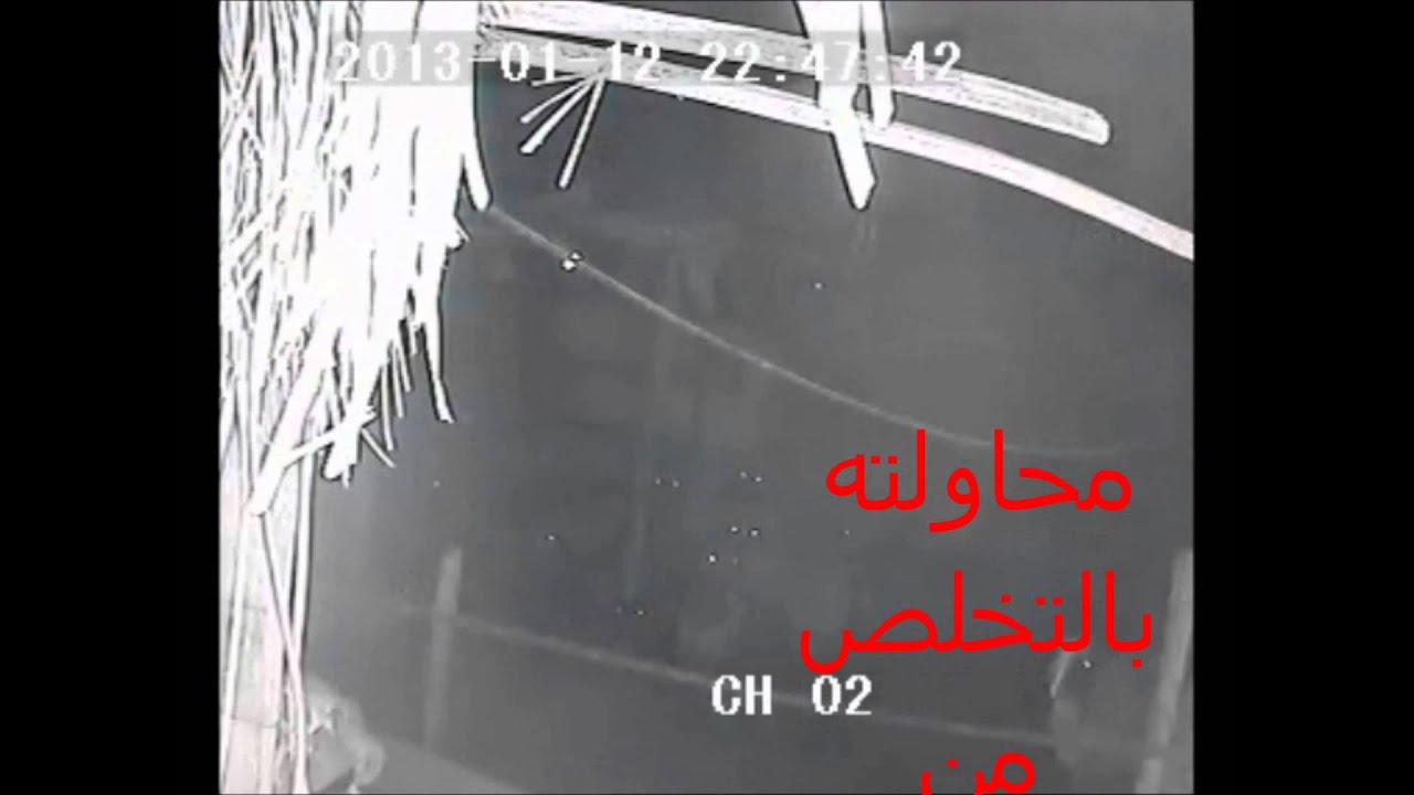عصابة سرقة مزارع البطاليه