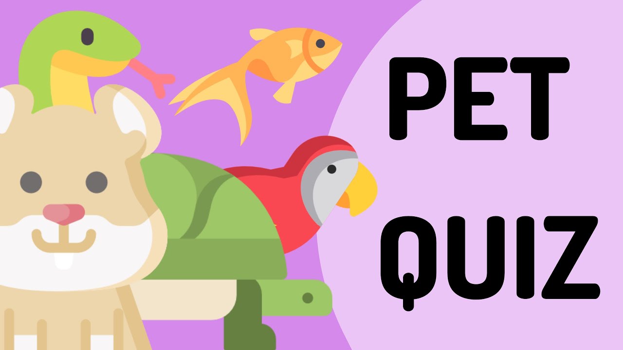 Pet Animal Quiz for Kids 🐶🐱 | Fun Guessing Game (Timed)