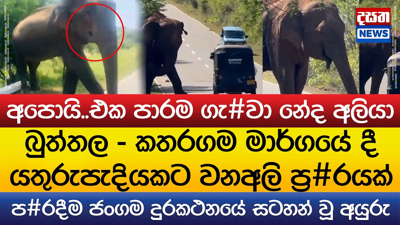 අපොයි..එක පාරම අලියා ගැ#වා නේද බයික් එකට ?..ප#රදීම ජංගම දුරකථනයේ සටහන් වූ අයුරු