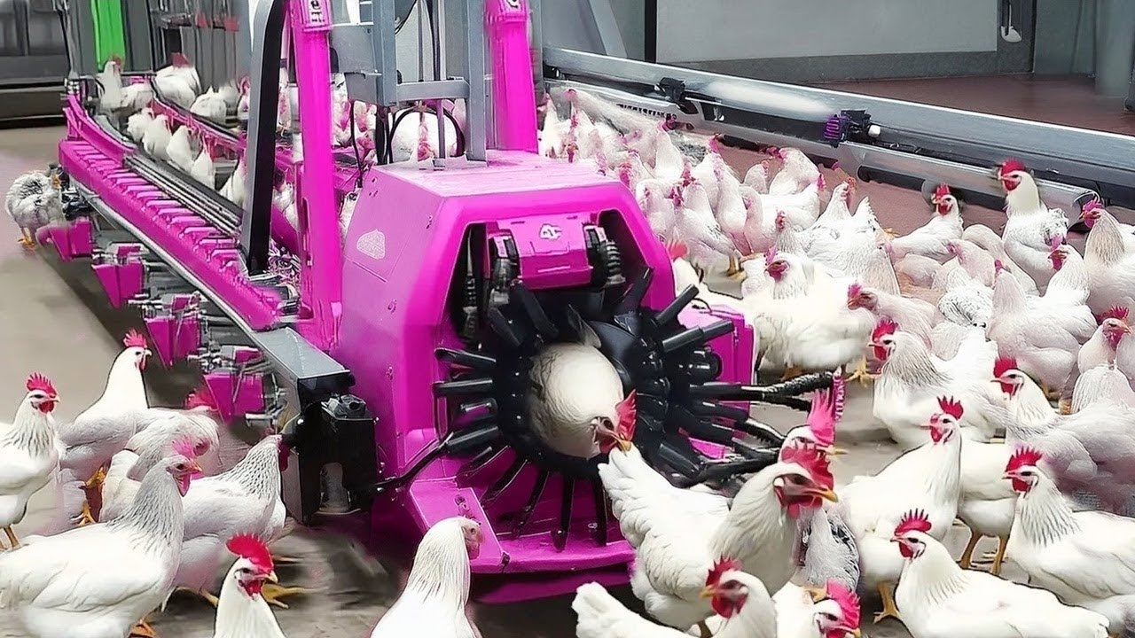Most Satisfying Videos of Workers Doing Their Job Perfectly #16 | Skill Master