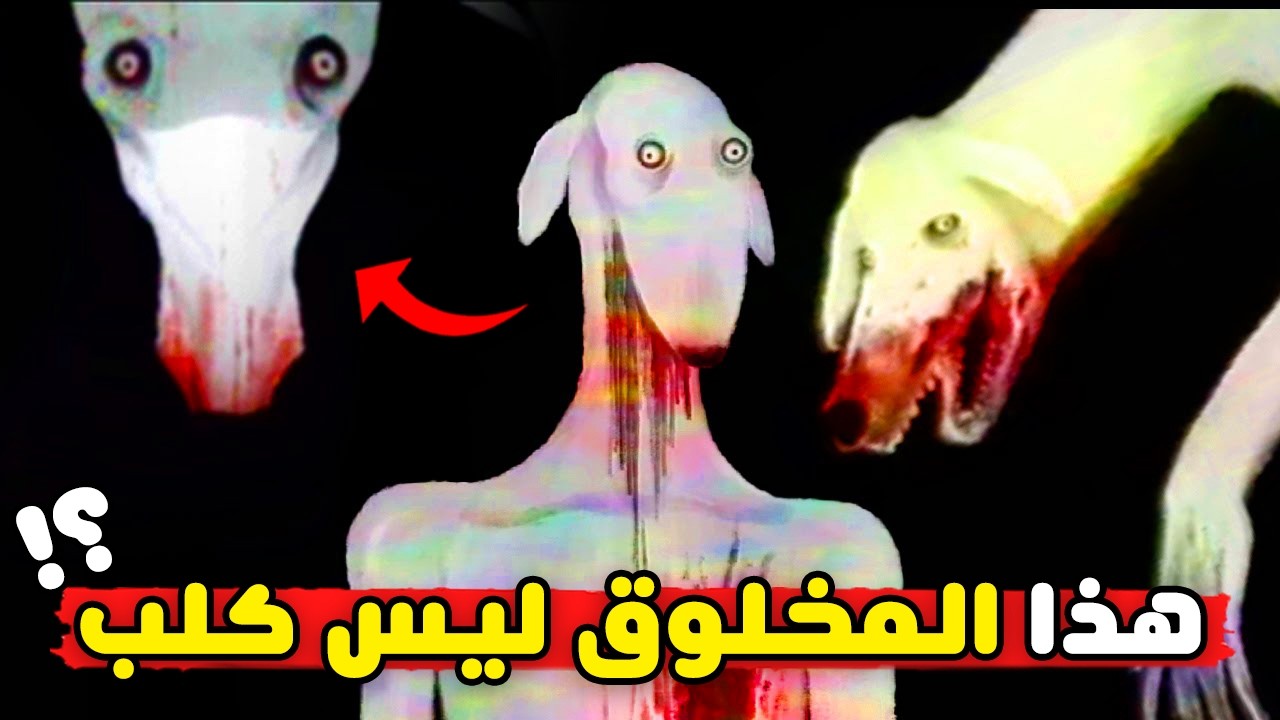 شرح قصة التجربة 0002 الكلب دكستر | Dexter the dog analog horror