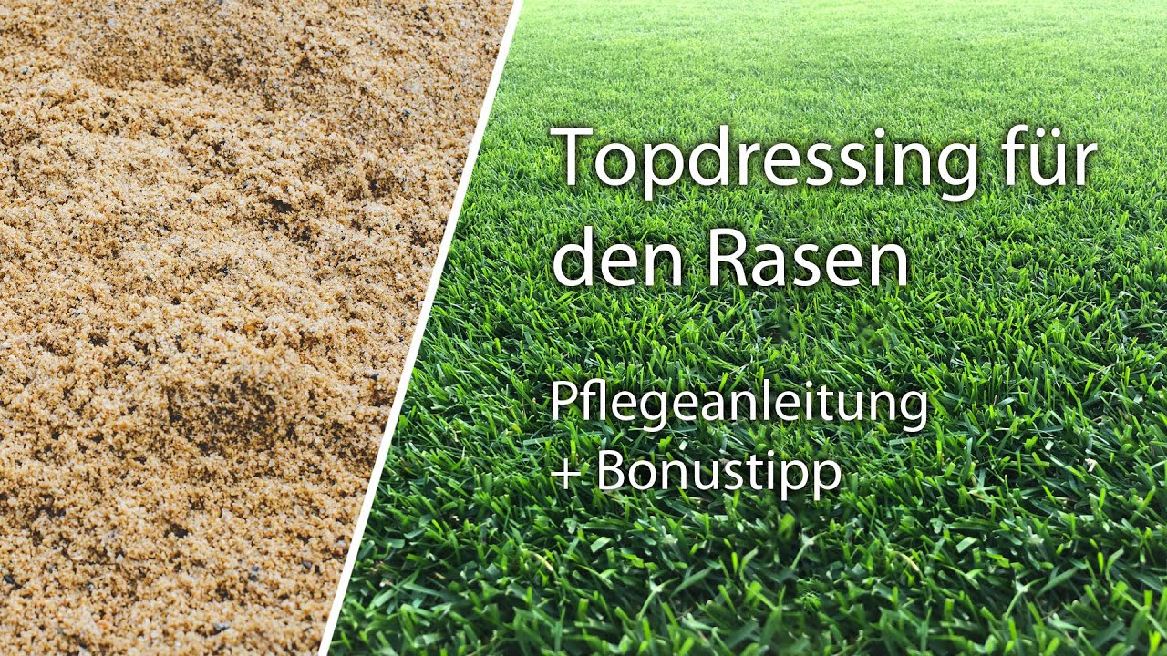 Topdressing Rasen Sanden Leveling Rake: Wie du vorgehen solltest + Bonustipp zur Rasenpflege