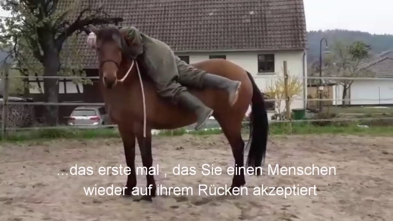 Stute Cindarella...Problem : unreitbar weil Sie extrem buckelt  (Teil 2)