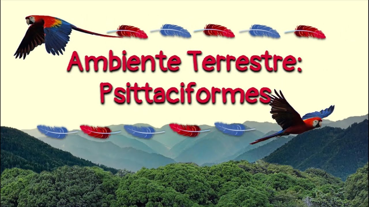Ambiente Terrestre: Psittaciformes