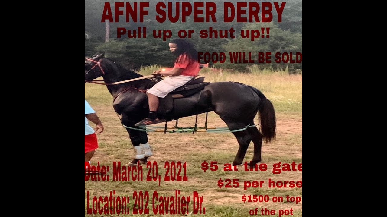 Standardbred Horse Racing Under The Saddle (Mansfield Louisiana)