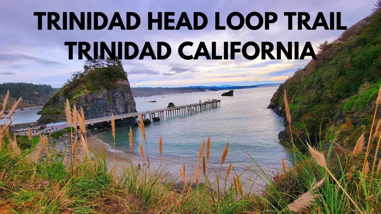 TRINIDAD HEAD LOOP TRAIL TRINIDAD CALIFORNIA