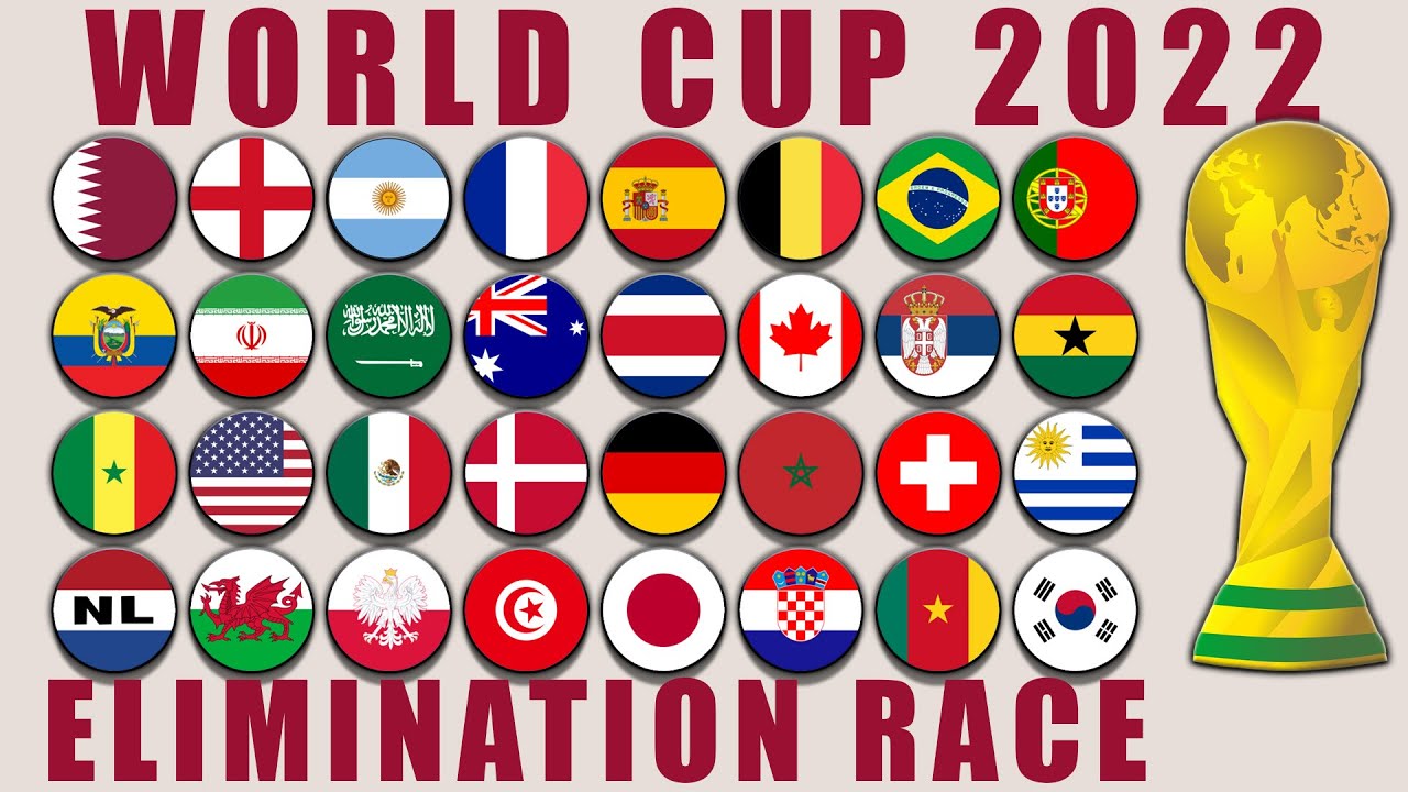 World Cup 2022 Elimination Marble Race in Algodoo / Marble Race King