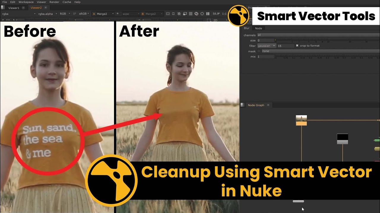 Cleanup using Smart Vector in Nuke