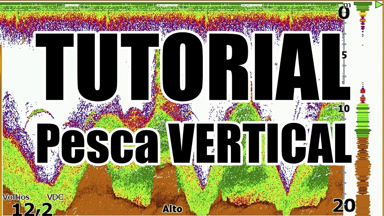 TRUCOS, CONFIGURACIÓN, TUTORIAL vertical pesca