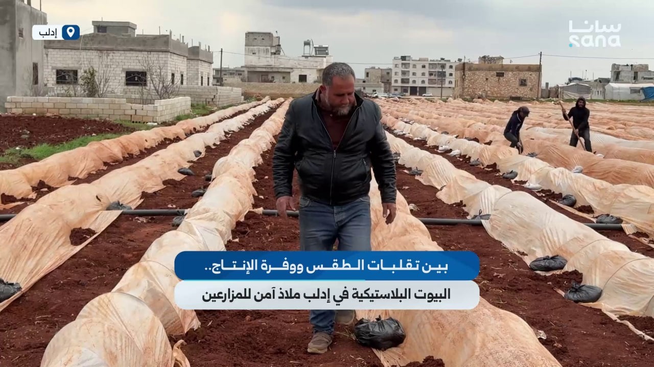 بين تقلبات الطقس ووفرة الإنتاج.. البيوت البلاستيكية في إدلب ملاذ آمن للمزارعين