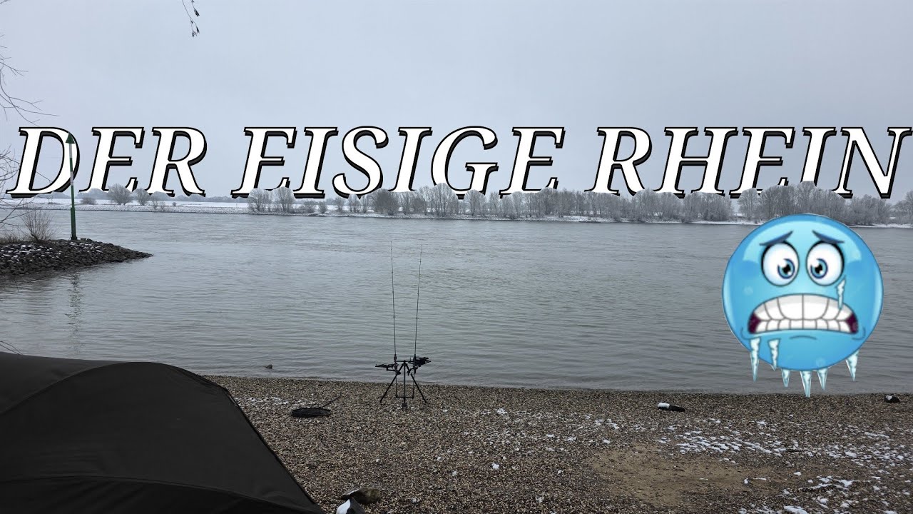 Der eisige Rhein ist tod