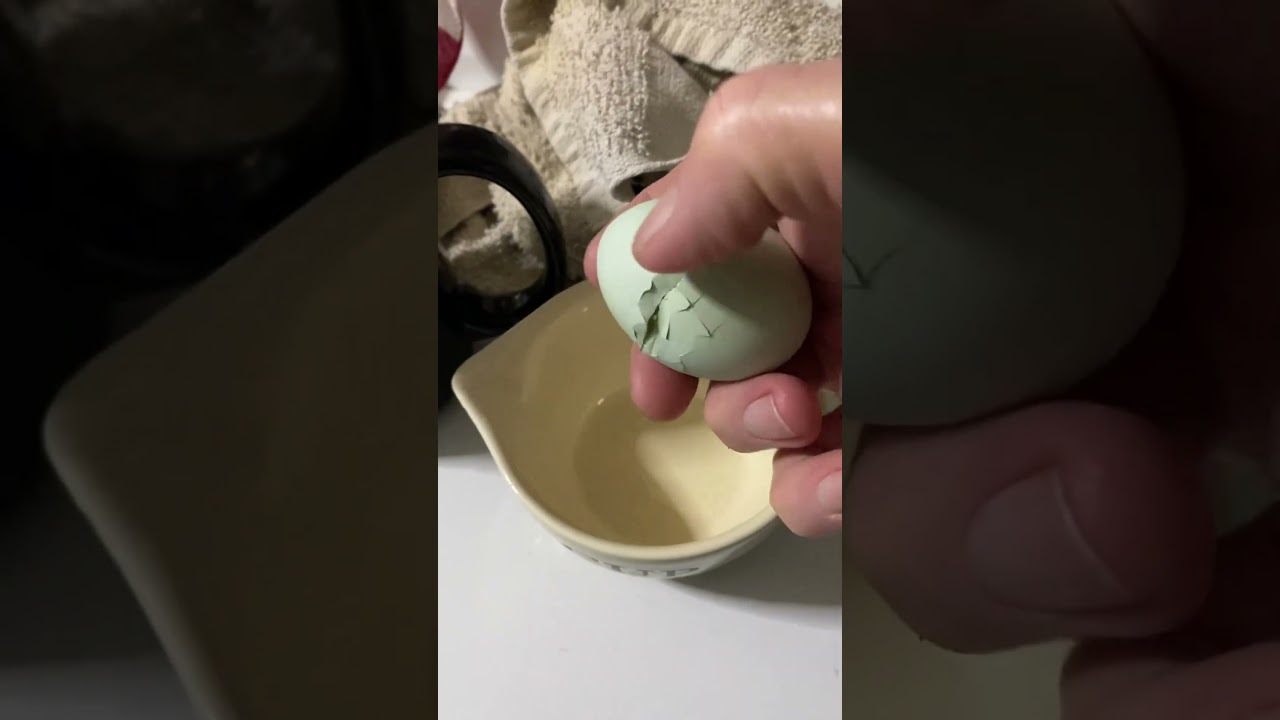 Easter eggars 😁